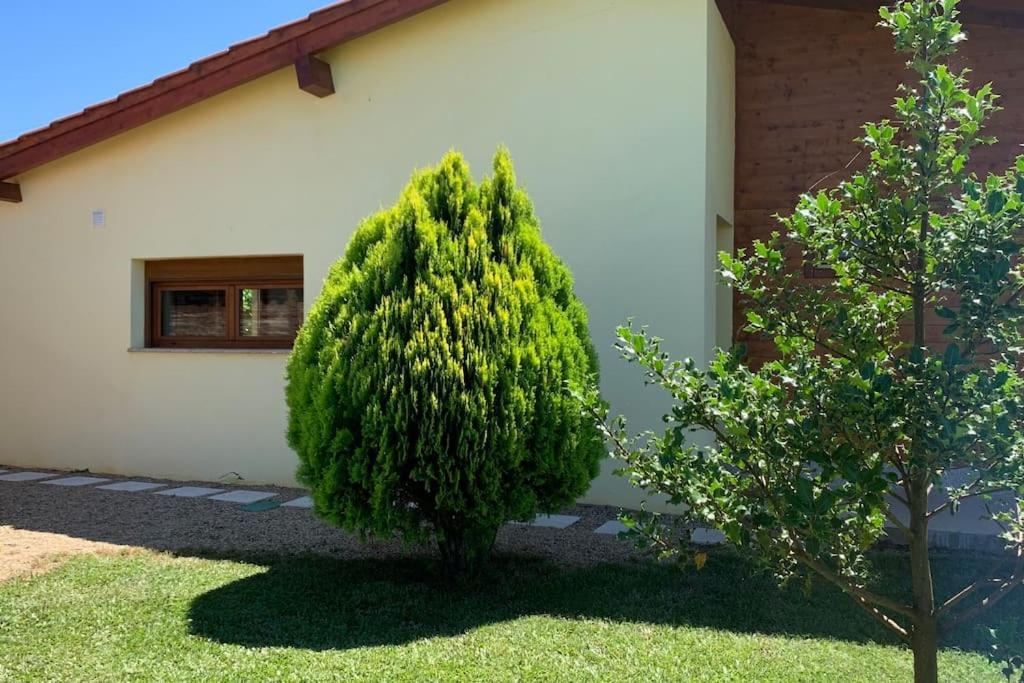 Вилла Quinta Pedro E Ines Браганса Экстерьер фото