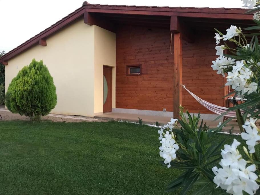Вилла Quinta Pedro E Ines Браганса Экстерьер фото