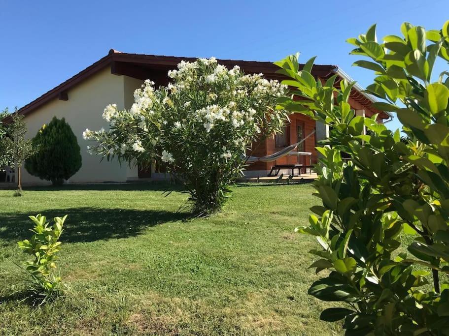 Вилла Quinta Pedro E Ines Браганса Экстерьер фото